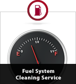 Fuel System Cleaning Service