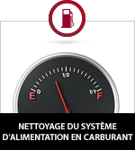 Fuel System Cleaning Service
